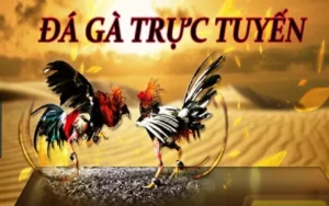 Bí Quyết Tham Gia Đá Gà GA28 Tại DV88 Hiệu Quả Nhất