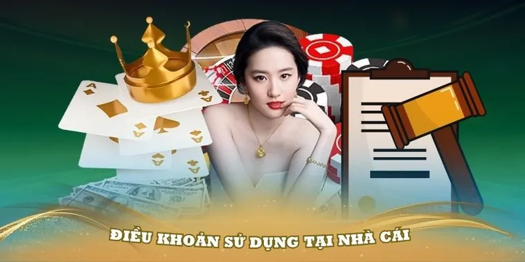 Điều Khoản Sử Dụng