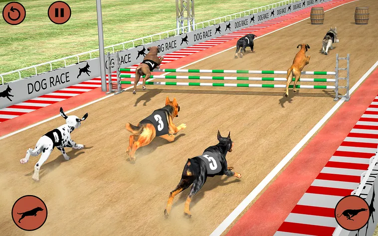 Bí Quyết Chinh Phục Game Đua Chó Nhanh Tại DV88 2 Bí Quyết Chinh Phục Game Đua Chó Nhanh Tại DV88